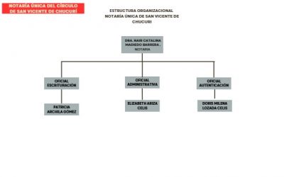 Organigrama